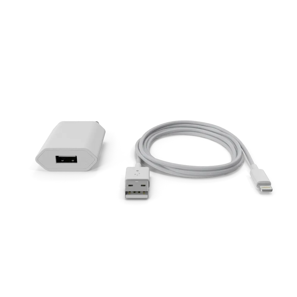 Chargeur rapide iPhone 20 W USB-C